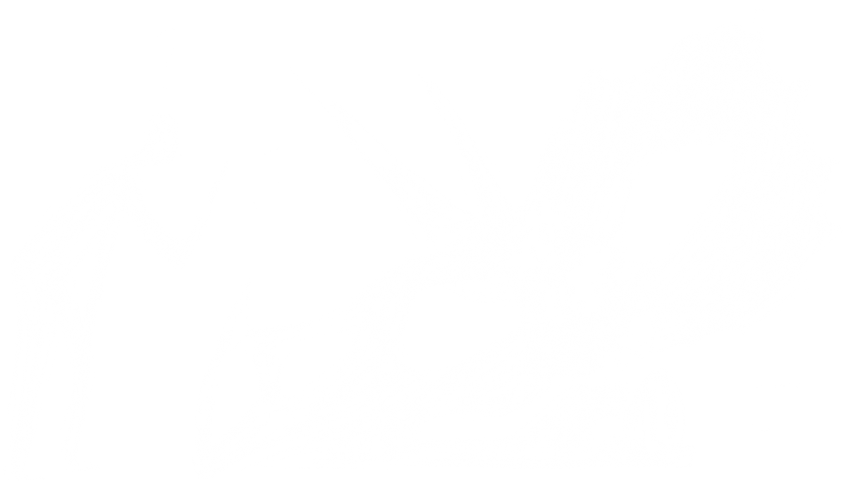 dinosaur